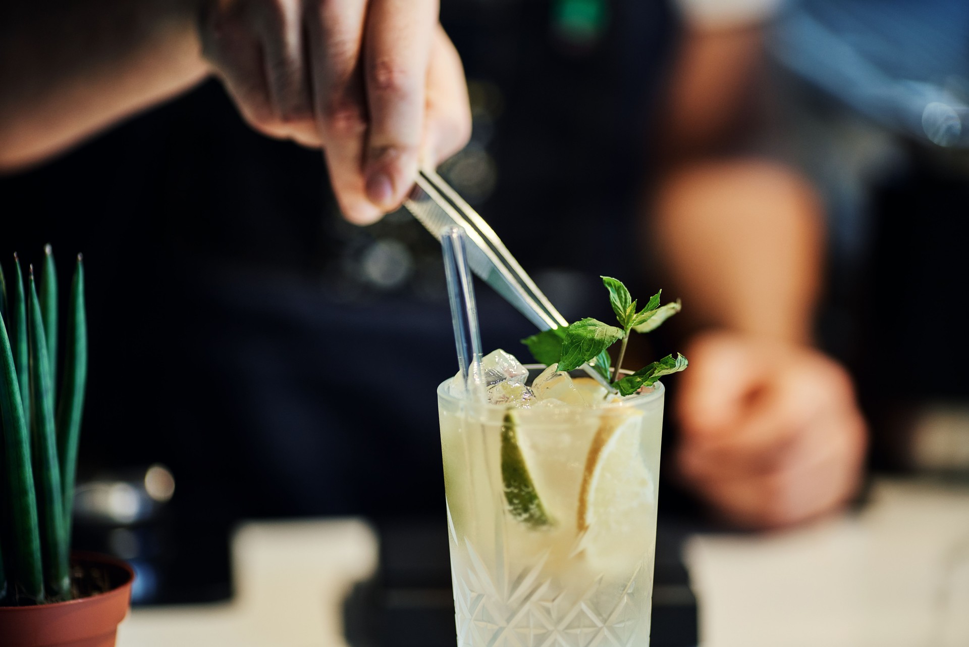 Bartender Mixing Cocktail with Mint